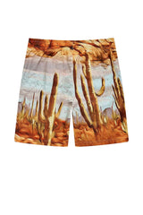 Jordan Craig RETRO - IBIZA LOUNGE SHORTS (SOUTH WEST)
