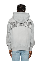 Purple Brand Heavyweight Oversized Hoodie  P401-MFHG24