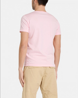 Iceberg Men's Heritage Logo Grey T-shirt Pink Green