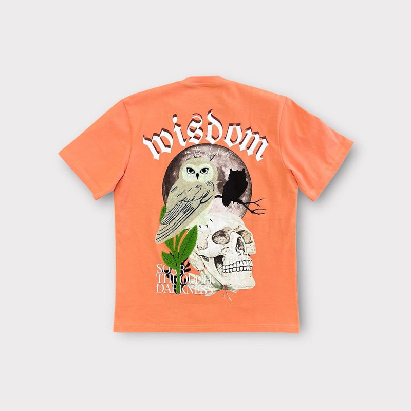 Reelistik Men Wisdom Oversized T-Shirt - Peach