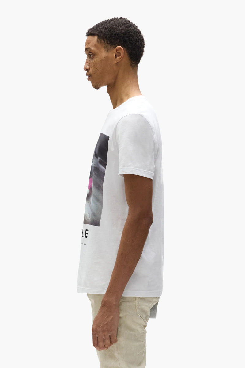 Purple Brand Speed Tee - P109-CBWS325