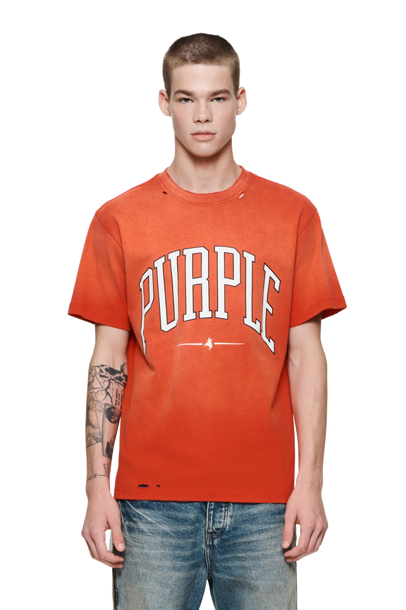 Purple Brand Men Collegiate T-Shirt - P117-HJRW423